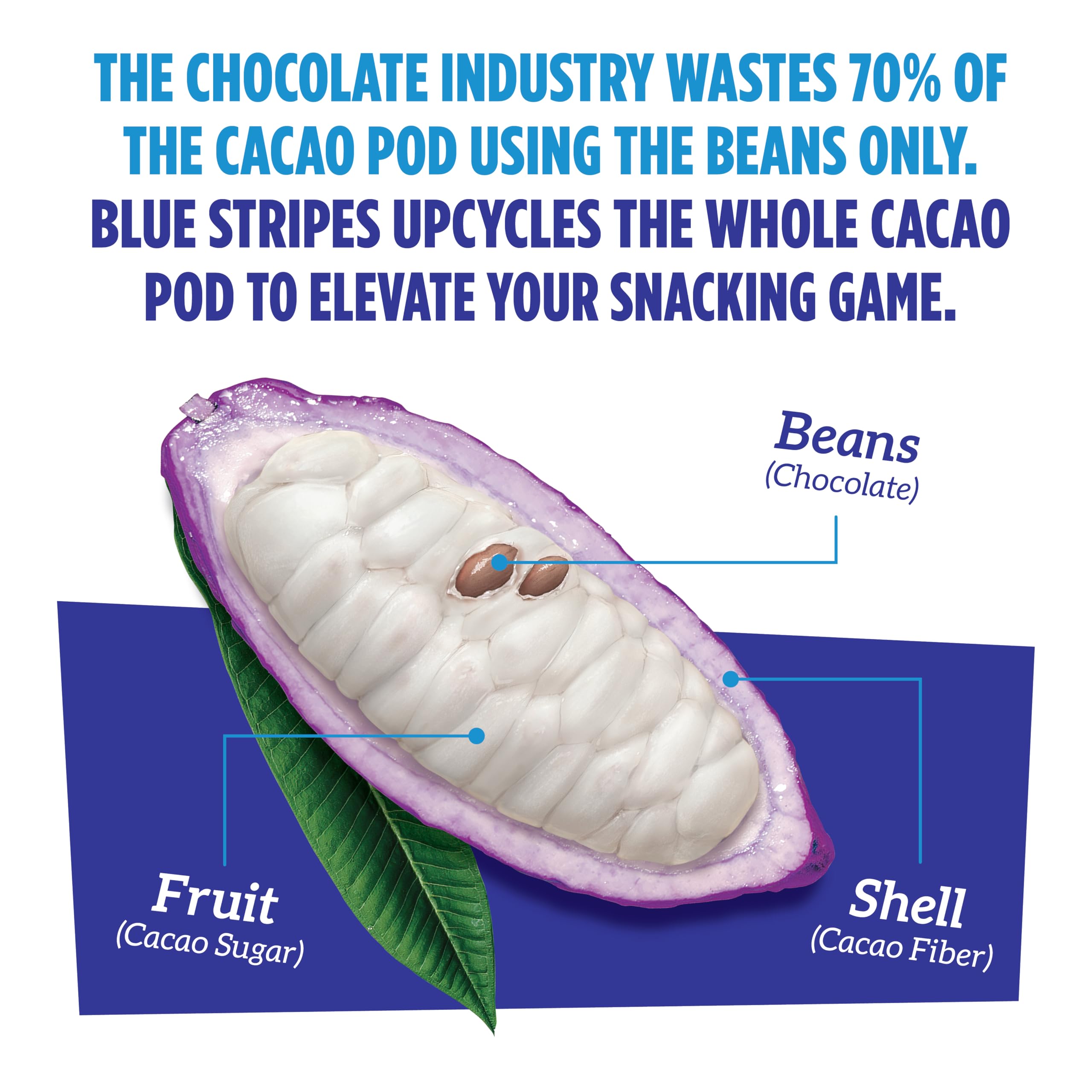 Blue Stripe Dark Chocolate Brownie Whole Cacao Pure Dark, Case of 24, 2.1 Ounce