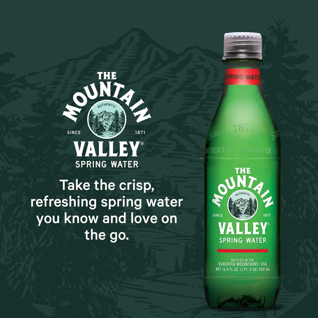 Mountain Valley Spring Water, Case of 4, 6-Pack 16.9 Fluid Ounce Plastic Bottles