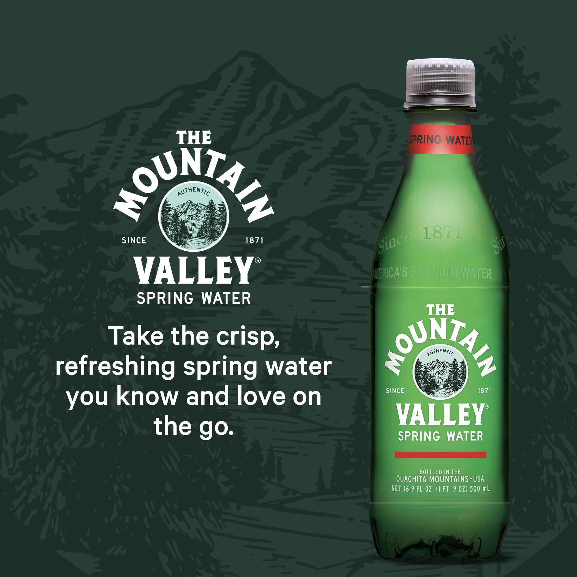 Mountain Valley Spring Water, Case of 4, 6-Pack 16.9 Fluid Ounce Plastic Bottles