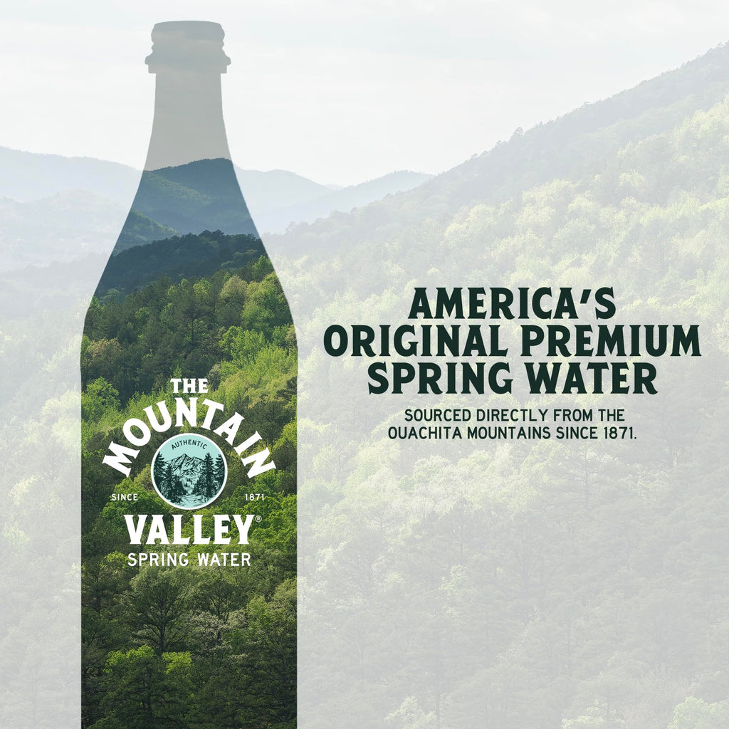 Mountain Valley Spring Water, Case of 4, 6-Pack 16.9 Fluid Ounce Plastic Bottles