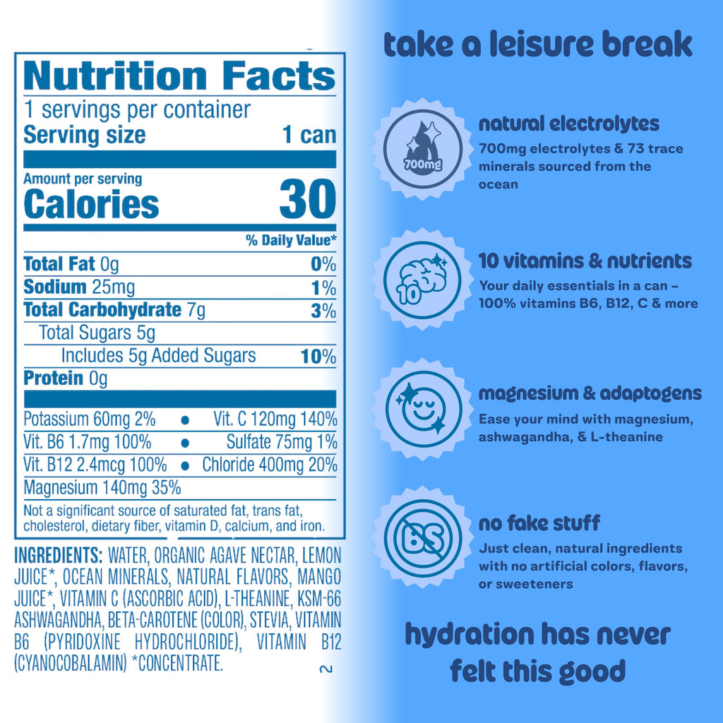 Leisure Project Blueberry Electrolyte Water, Case of 12, 16 Fluid Ounce Bottles
