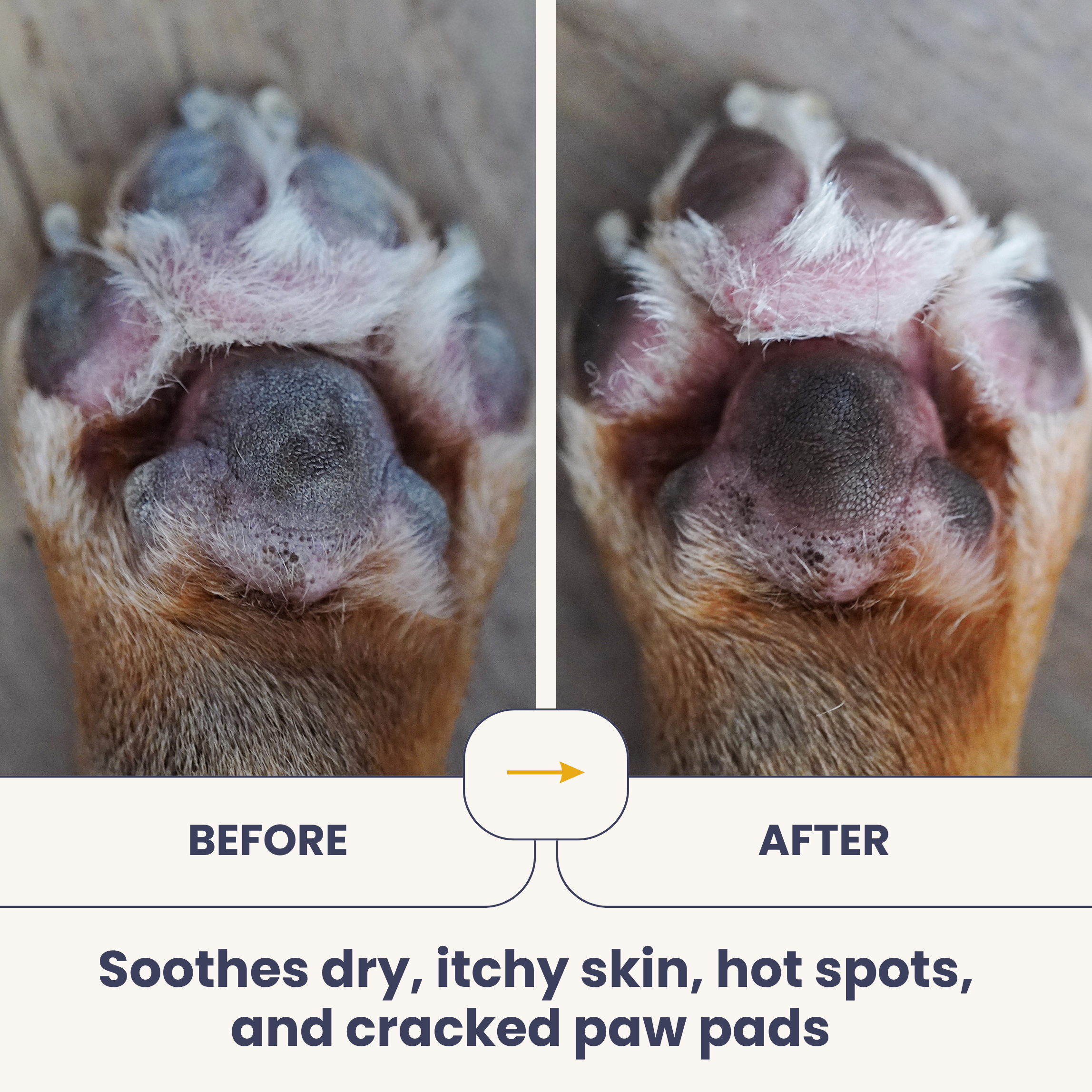100% Organic Virgin Coconut Oil for Dogs & Cats