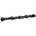 COMP Cams Camshaft OL 299Th R7 Thumper 42-602-9