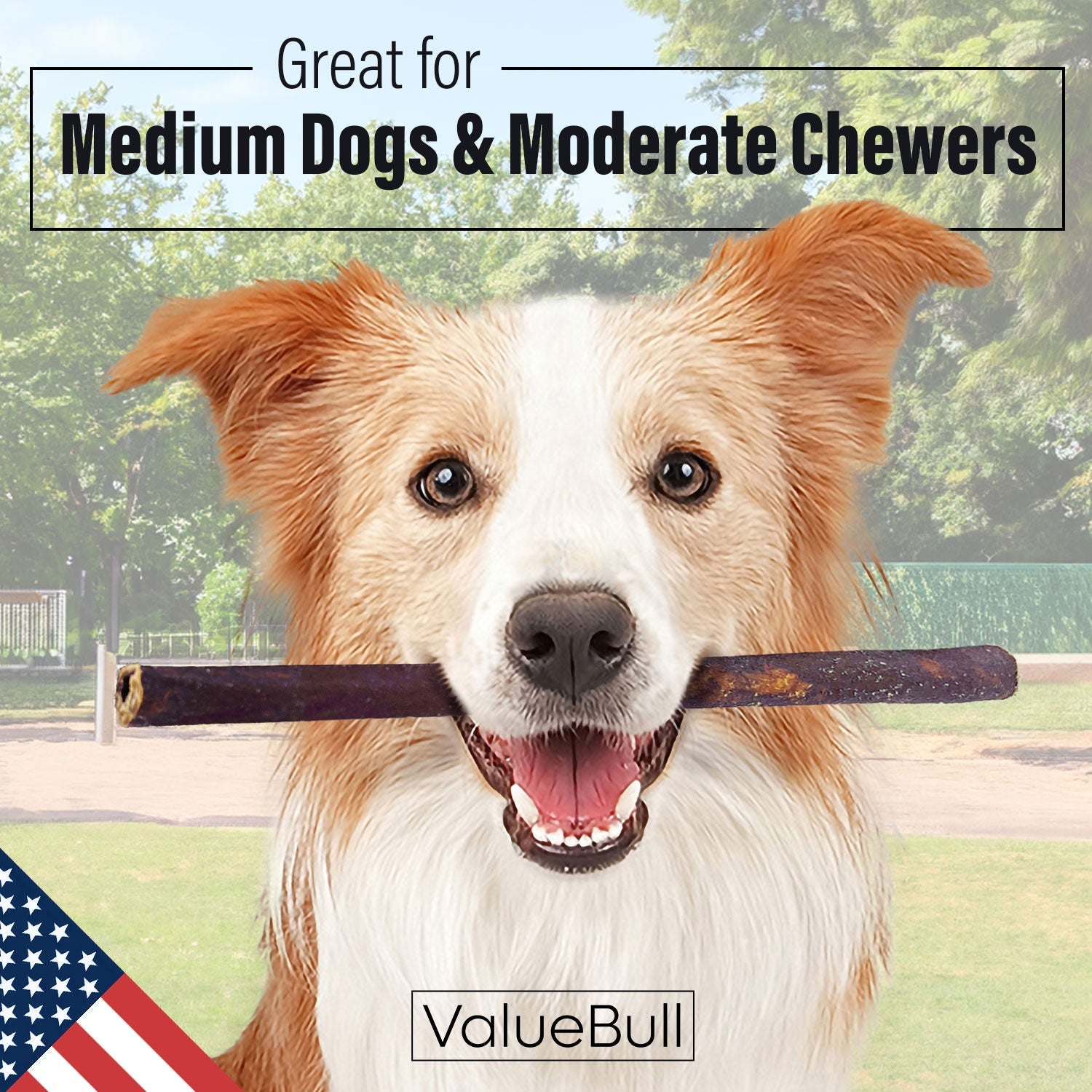 ValueBull USA Collagen Sticks for Dogs, 12 Inch Medium Chews, Natural Long-Lasting Dog Treats, 25 Count