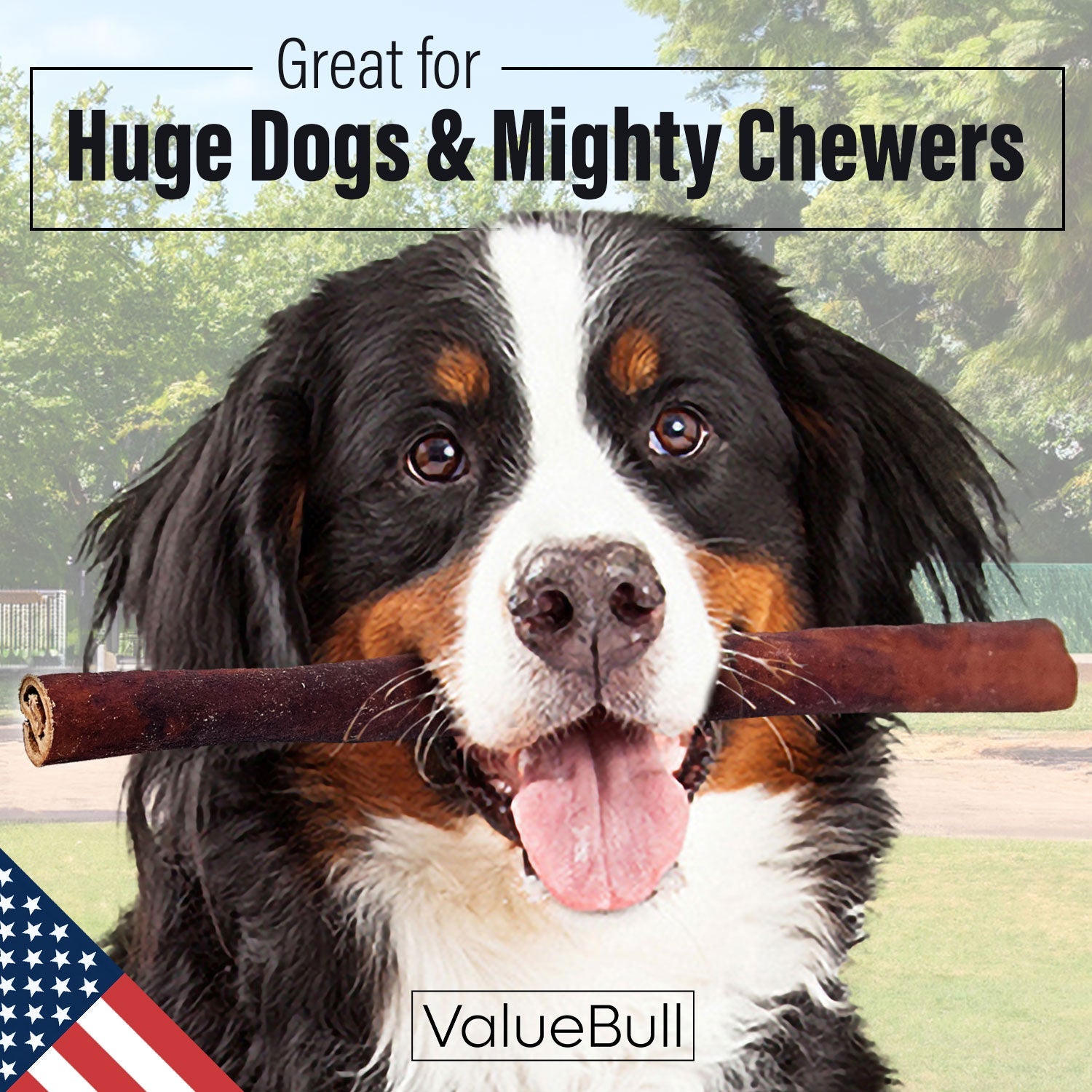 ValueBull USA Beef Collagen Sticks, 12 Inch Super Jumbo Chews, 25 Count