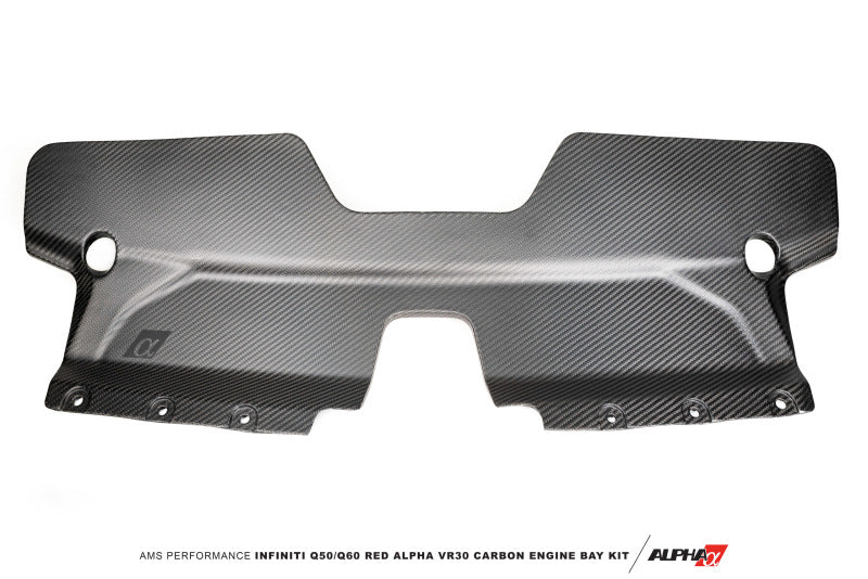 AMS Performance Infiniti 17+ Q60 / 16+ Q50 3.0TT Alpha Matte Carbon Front Duct ALP.28.06.0002-1