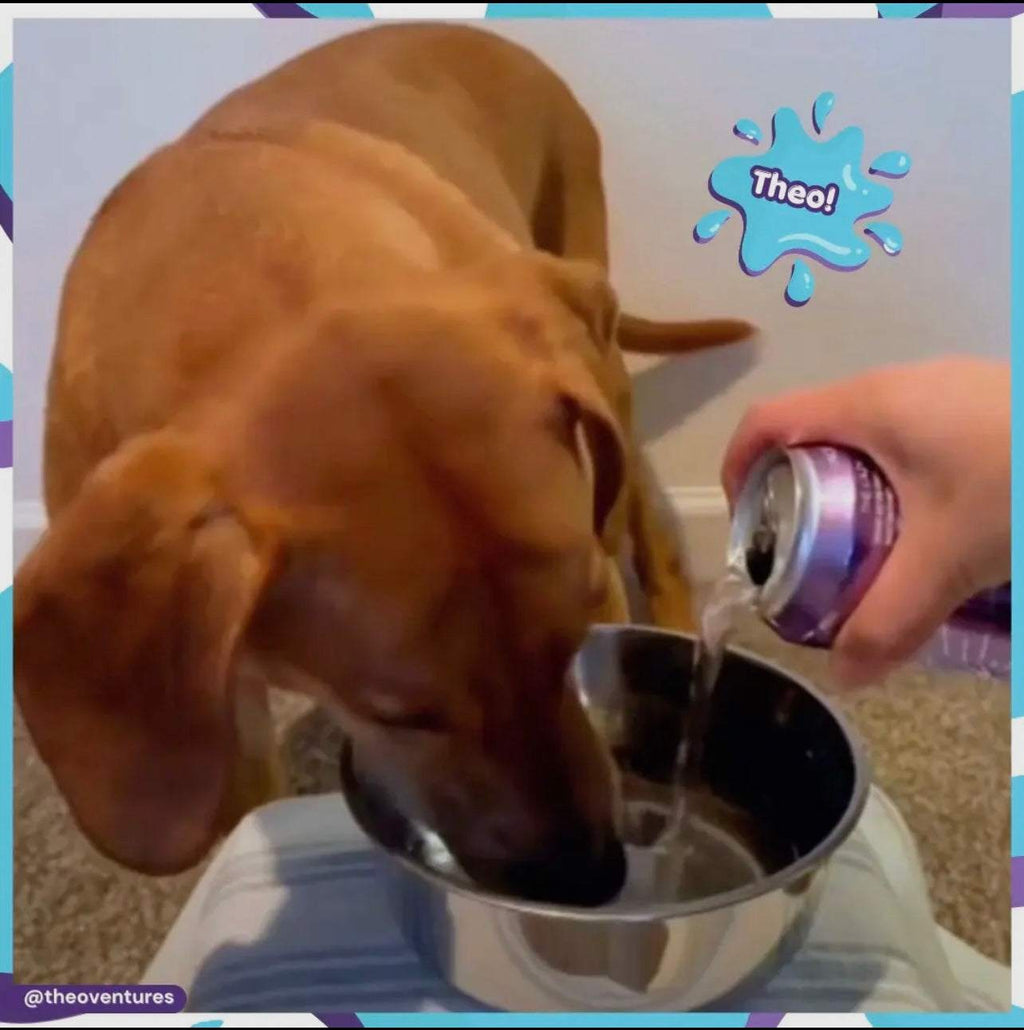 🐾 Pup‑POP™ – Celebration Hydration for Dogs