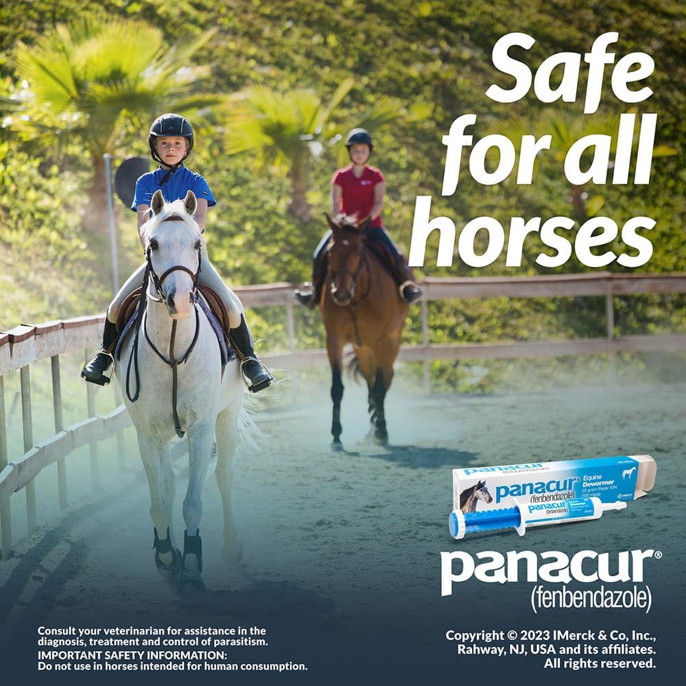 Panacur Equine Dewormer Paste 10% Fenbendazole – 3-Pack | Apple-Cinnamon