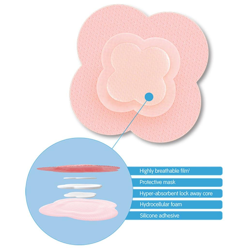 Allevyn Life Silicone Adhesive with Border Silicone Foam Dressing, 4 x 4 Inch 66801067
