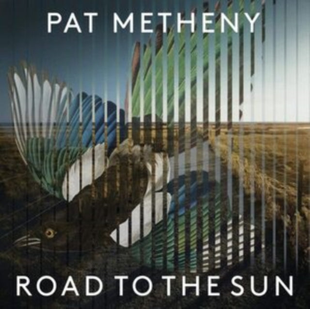 Road To The Sun (2LP)