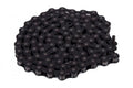Cult BMX Chain 410 Stamped Logo - Black