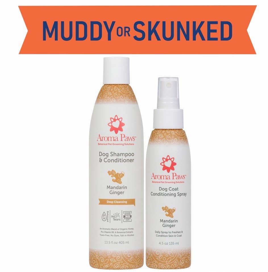 🐾 Mandarin Ginger Shampoo 13.5oz