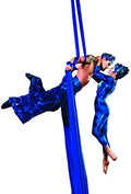 DASKING Aerial Silks Starter Kit - Durable 11Yards of Aerial Yoga Hammock with Hardware, Aerial Swing for Acrobatic Flying Yoga & All Levels (Aerial Rigging Point Up to 14ft)