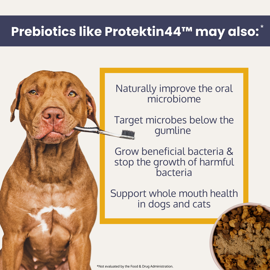 Dental Health Topper for Dogs – with Protektin44™ Prebiotics