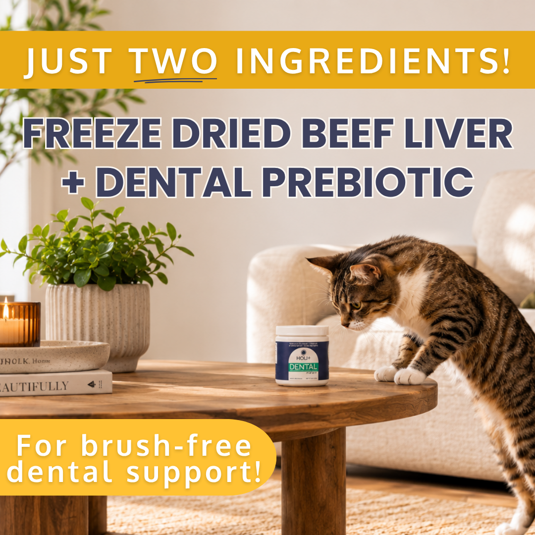 Dental Health Topper for Dogs – with Protektin44™ Prebiotics