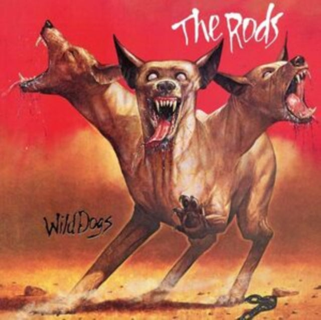Rods - Wild Dogs (Orange LP Vinyl)