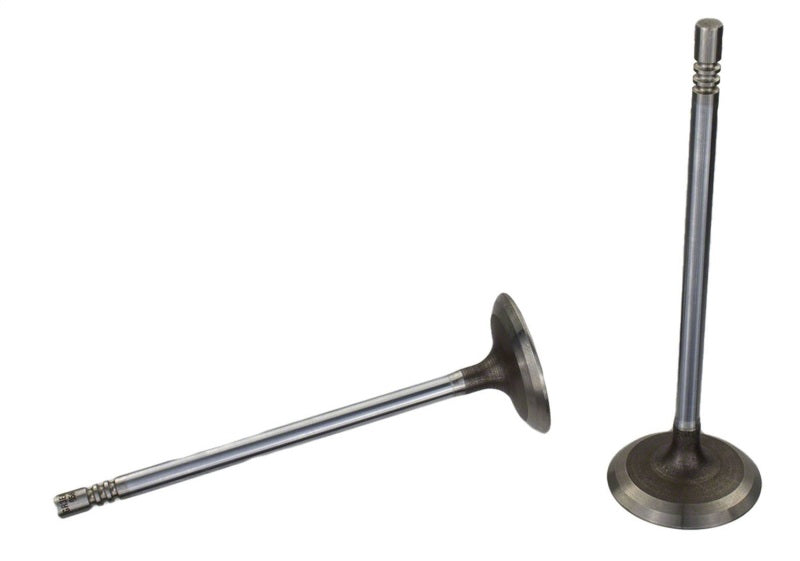Ford Racing Coyote 5.2L Lightweight Intake Valve - Set of 8 M-6507-M52