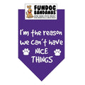 I'M the Reason We Can't Have Nice Things-Made in USA