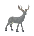 Mule Deer