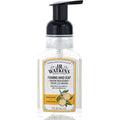 Orange Foaming Hand Soap --266ml/9oz