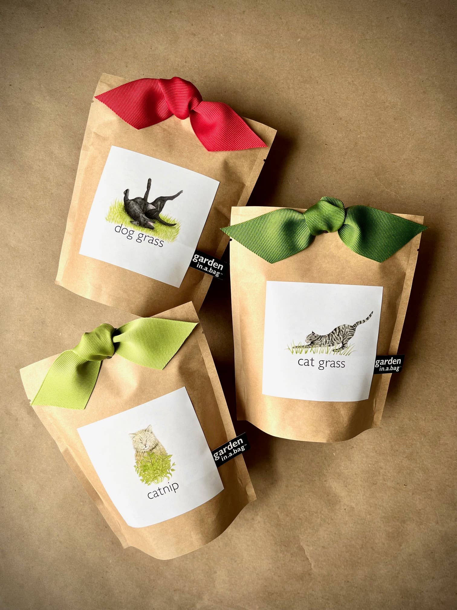 🐱🌱Garden in a Bag | Cat Grass | Spring Pet Treat Gift