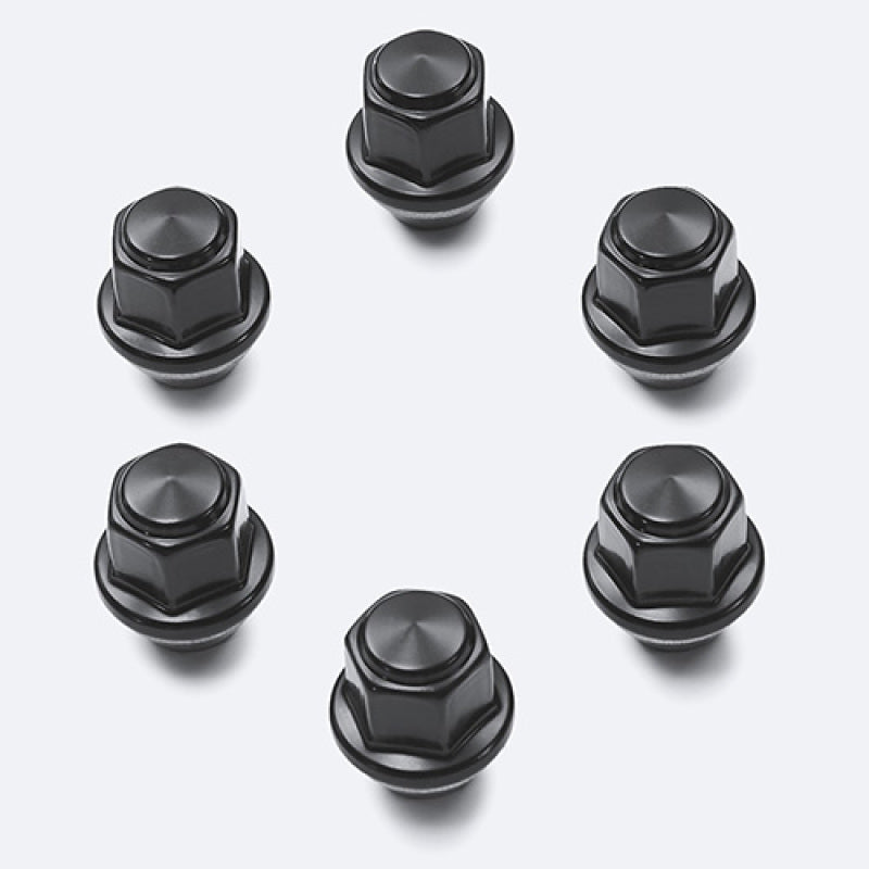 Ford Racing M14 x 1.5 Black Lug Nut - Set of 6 M-1012-F15B