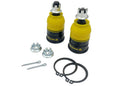 Whiteline 00-05 Honda Civic EP/ES/EU Front Roll Center Correction Kit KCA520
