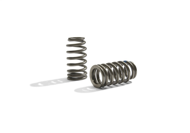 Ford Boss 302R Valve Spring Kit 2011-up 5.0L Engine FRDM6513-M50BR