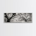 Sprawling Trees, Oak Forest, Sunlit Canopy, Majestic Branches, Canvas Print, Nature Wall Art, Boho Decor, Living Room Statement Piece