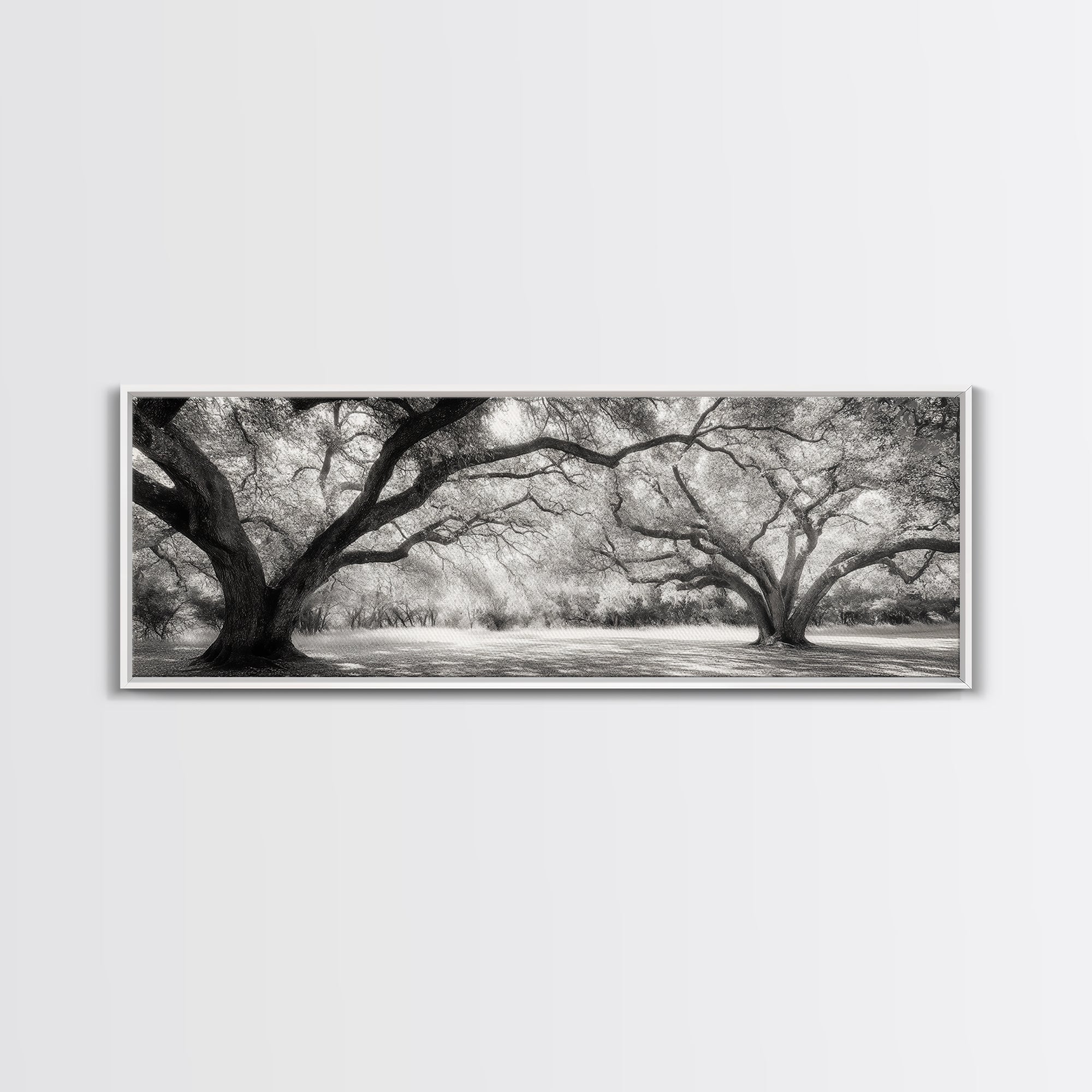 Sprawling Trees, Oak Forest, Sunlit Canopy, Majestic Branches, Canvas Print, Nature Wall Art, Boho Decor, Living Room Statement Piece