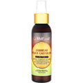 Jamaican Black Castor Oil Spray - Tea Tree 4 Oz