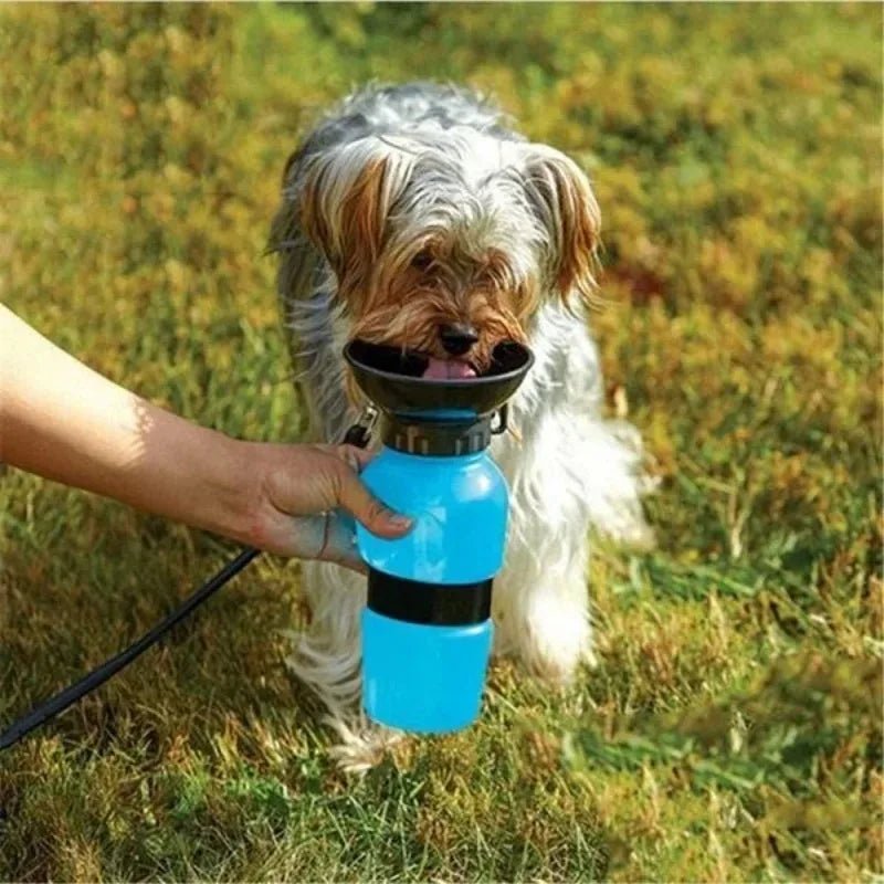500ml Outdoor Portable Pet Water Bottle – Leakproof Dog & Cat Travel Cup with Drinking Bowl Feeder - PhishStones Products