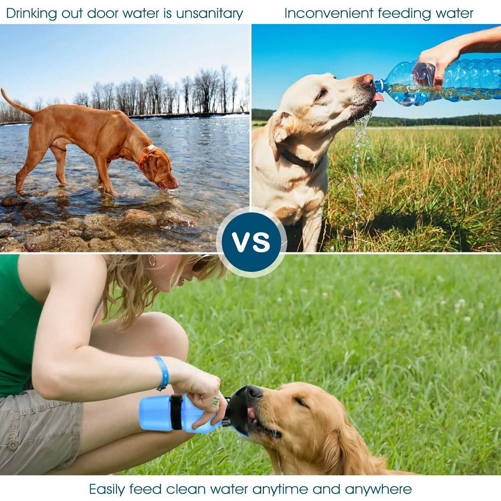 500ml Pet Water Bottle Portable Water Cup - PhishStones Products