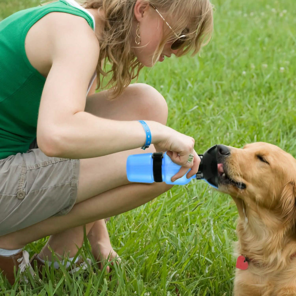 500ml Pet Water Bottle Portable Water Cup - PhishStones Products