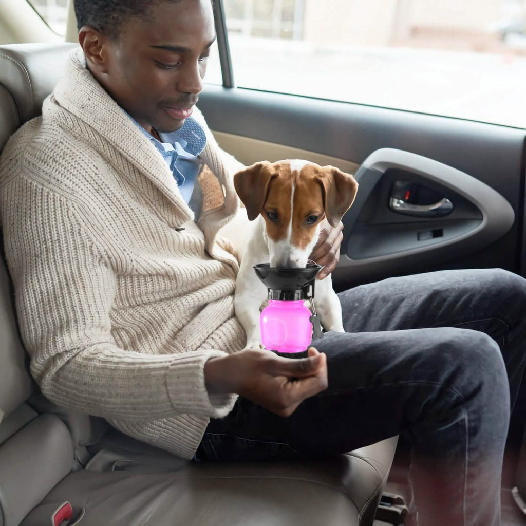 500ml Pet Water Bottle Portable Water Cup - PhishStones Products