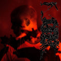 Yung Lean - Stranger - LP Vinyl