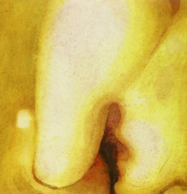 Smashing Pumpkins - Pisces Iscariot & Siamese Dream & Mellon Collie & Infinite Sadness & Gish & Adore (2LP) & Atum (4LP)