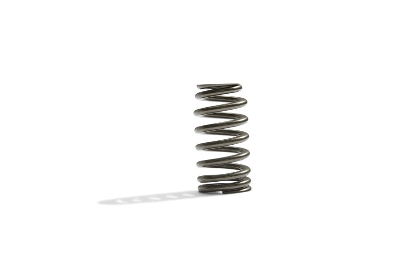 Ford Boss 302R Valve Spring Kit 2011-up 5.0L Engine FRDM6513-M50BR