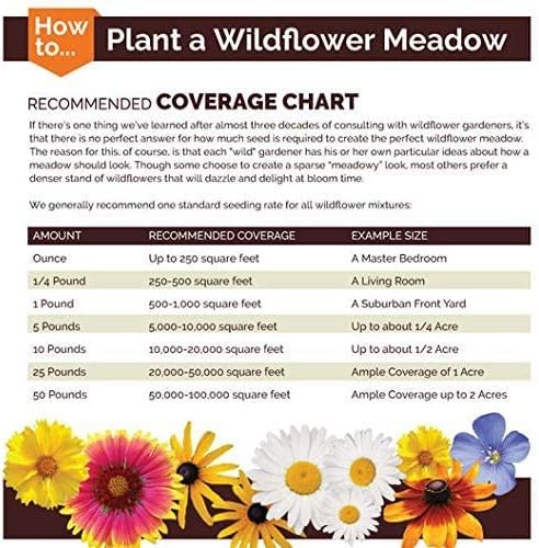 Dirt Goddess Super Seed~ Nasturtium, Tall Trailing Mix Seed~ Tropaeolum majus (10 Lbs)