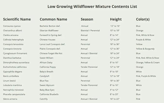Seed Needs Low Growing Wildflower Flower Seeds for Planting | 2 Packs (1 Ounce Each) Mixture/Blend 17 Varieties | Resealable Package Multicolored Blooms Open Pollinated Mixed Species | Bulk