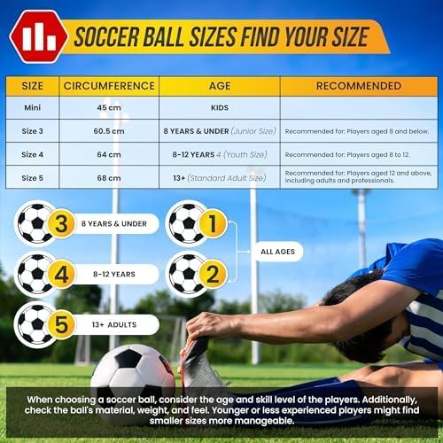Zodiac Soccer Ball-Pink