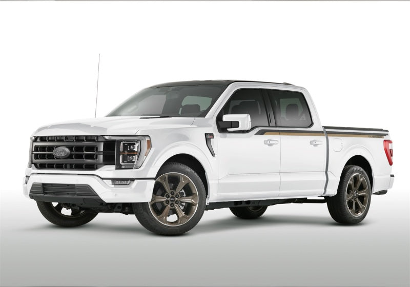 Ford Racing 15-23 F-150 22in Wheel Kit - Sinister Bronze M-1007K-S2295SB