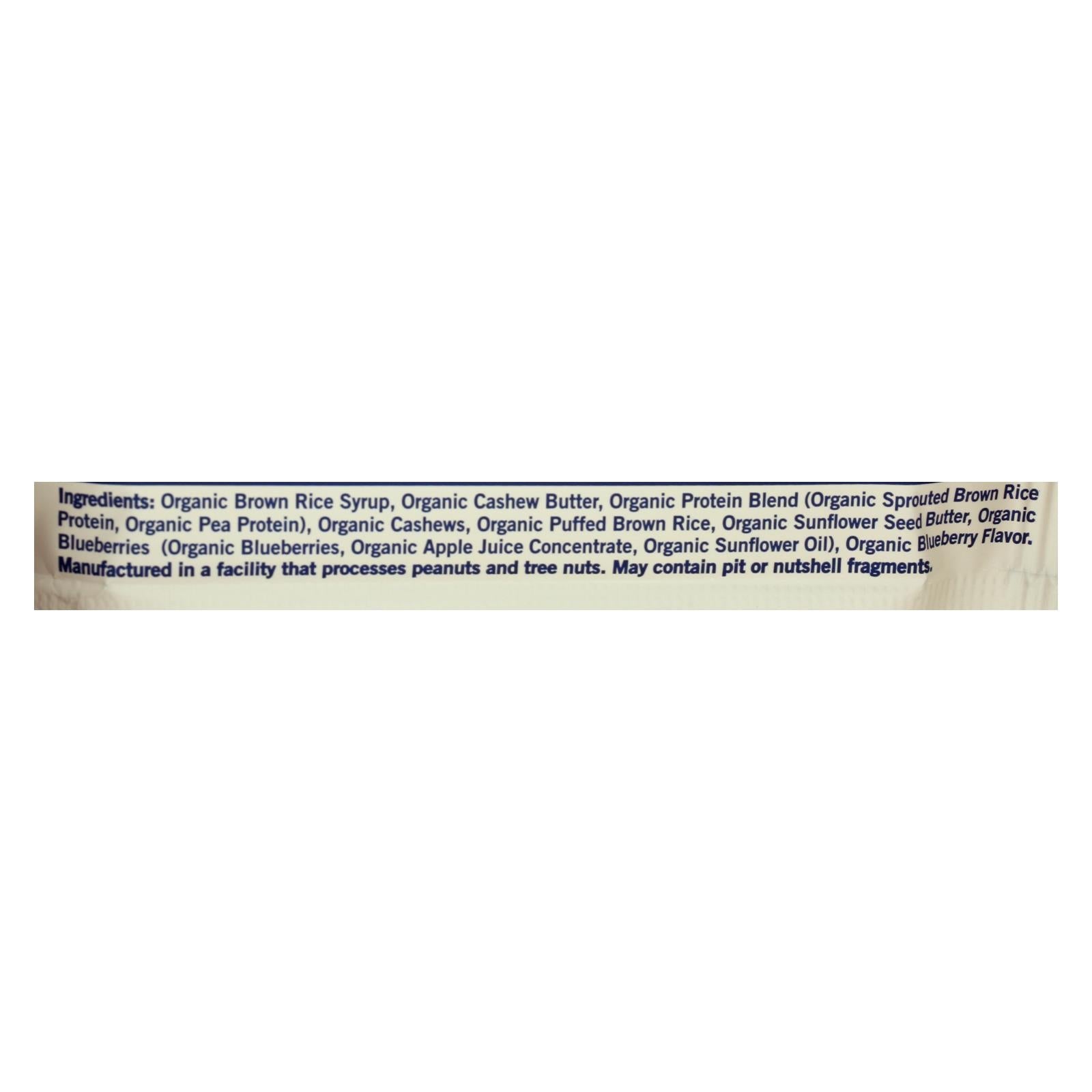 GoMacro Organic Blueberry Cashew Butter Bars, 2.3 oz, Case of 12