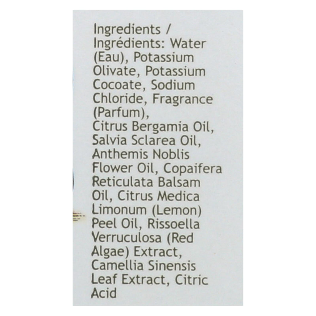 South of France Green Tea Hand Wash (8 Oz)