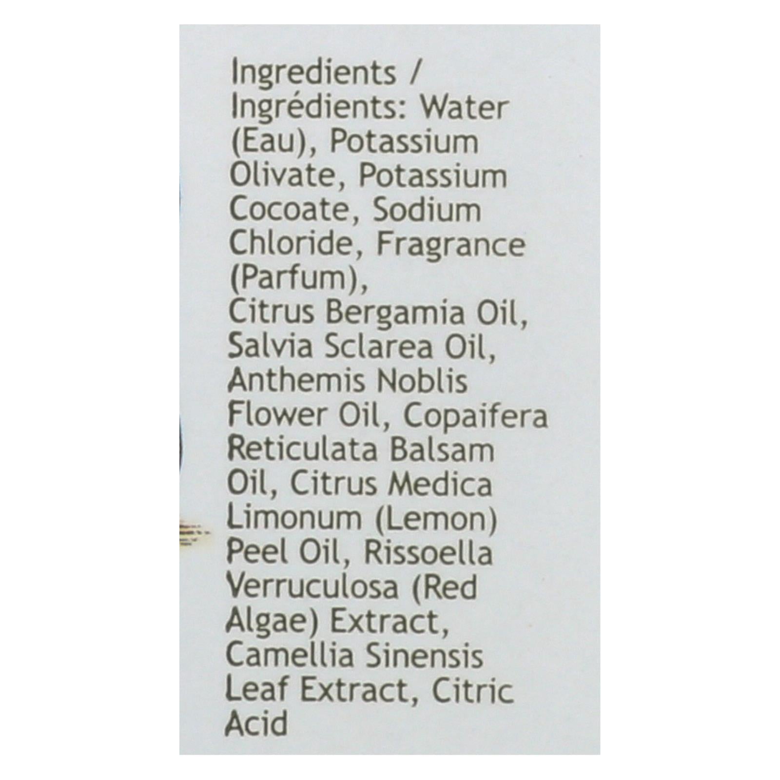South of France Green Tea Hand Wash (8 Oz)