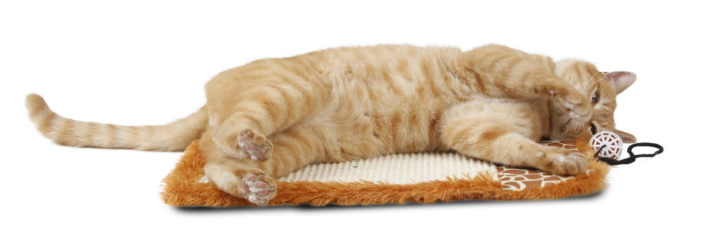 🐈💕🌿Eco-Natural Cat Scratcher