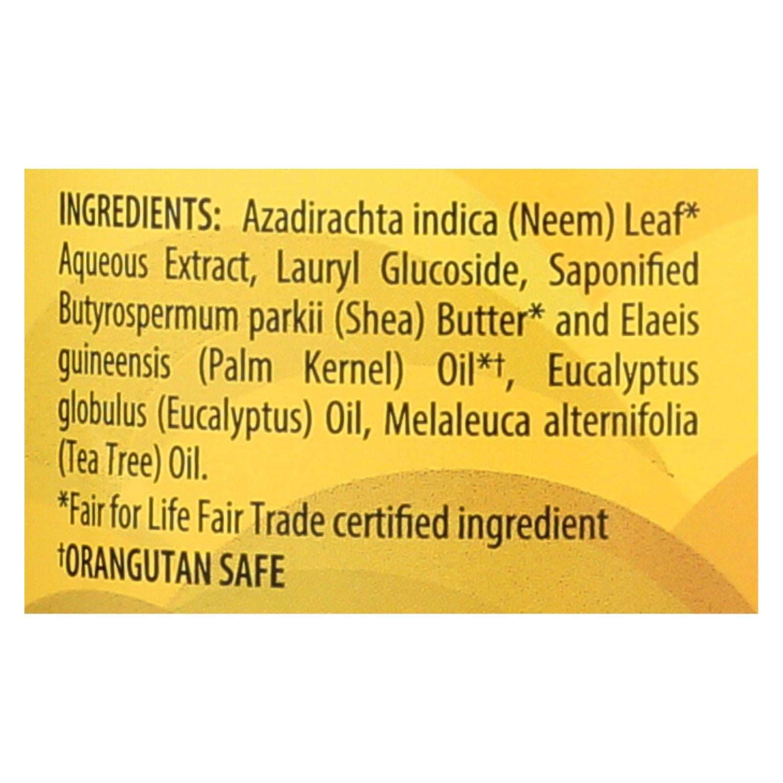 Alaffia African Black Soap with Eucalyptus and Tea Tree - 32 Fl Oz