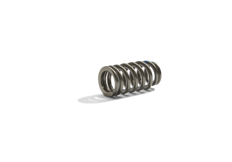 Ford Boss 302R Valve Spring Kit 2011-up 5.0L Engine FRDM6513-M50BR
