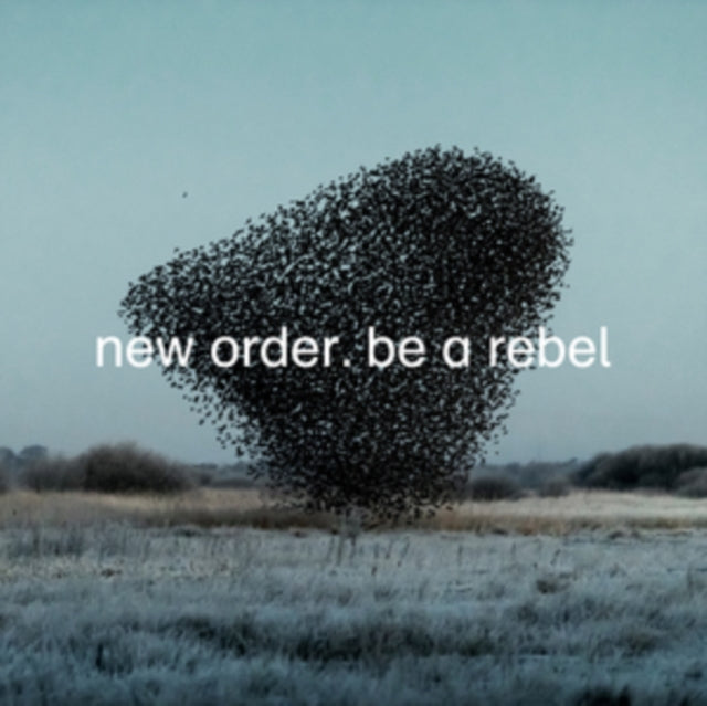 Education Entertainment Recreation (Live) & Be A Rebel Ep & Be A Rebel Remixed (Limited Edition/Clear LP Vinyl) & Be A Rebel