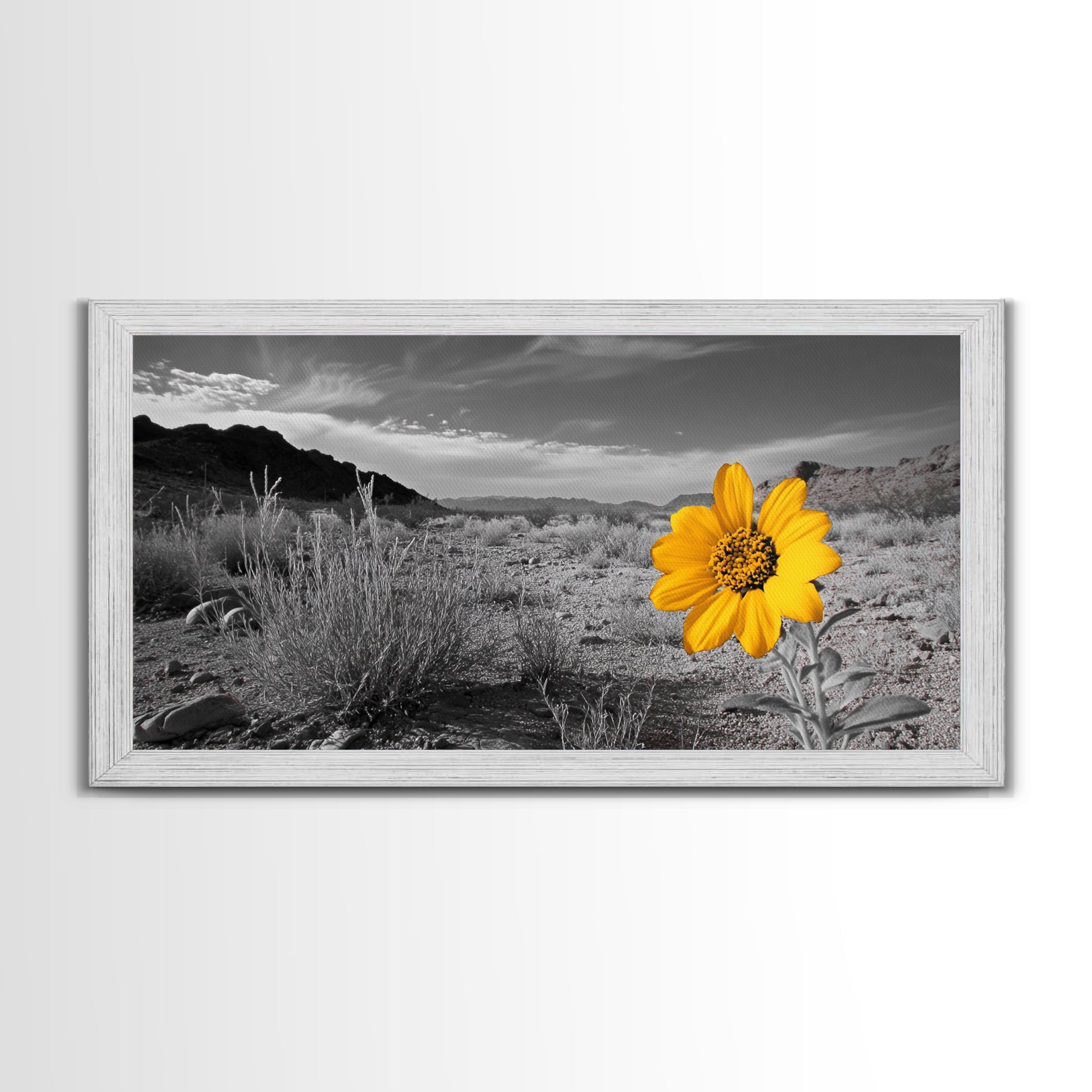 Yellow Flower, Desert Bloom, Monochrome Landscape, Canvas Print, Botanical Wall Art, Minimalist Nature Decor, Modern Kitchen Accent